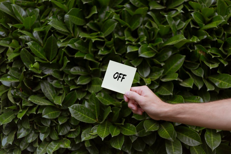 A close-up of a well-maintained garden hedge composed of dense, glossy green leaves with a smooth texture, arranged in overlapping layers. A person's hand, holding a small white square sticky note with the handwritten word 'OFF' in black ink, is placed in front of the hedge, suggesting a gardening or outdoor maintenance theme. The background shows vibrant, lush foliage with natural daylight illuminating the leaves, highlighting their rich green color and subtle veins. There are no visible tools or other garden elements in the image, emphasizing a focus on plant care and garden boundary trimming, which aligns with garden maintenance and landscaping work typically associated with professional services like Gardeners Enfield.
